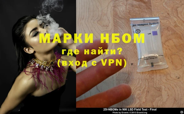 шишки Майский