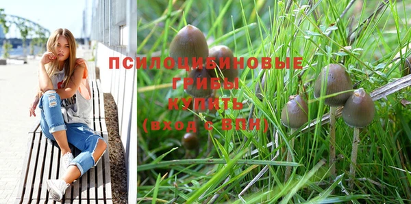 стаф Мегион