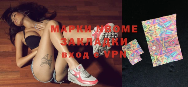 твердый Магас